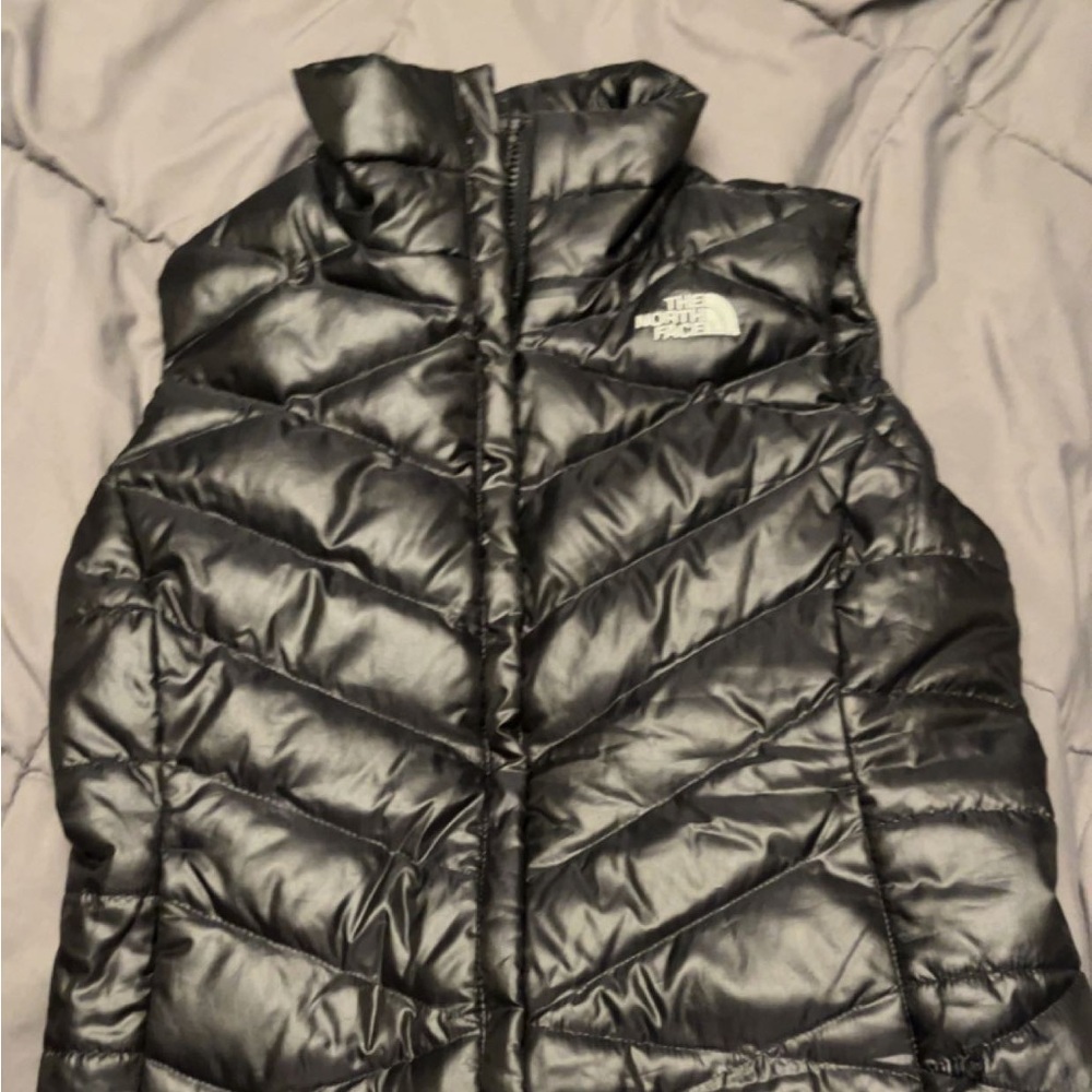 The north face vest